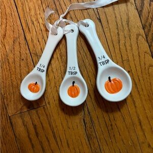 Pumpkin Measuring Spoons Set